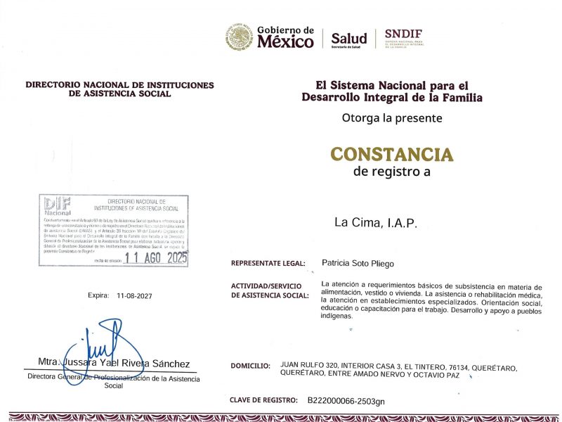 Registro DIF Nacional 2025